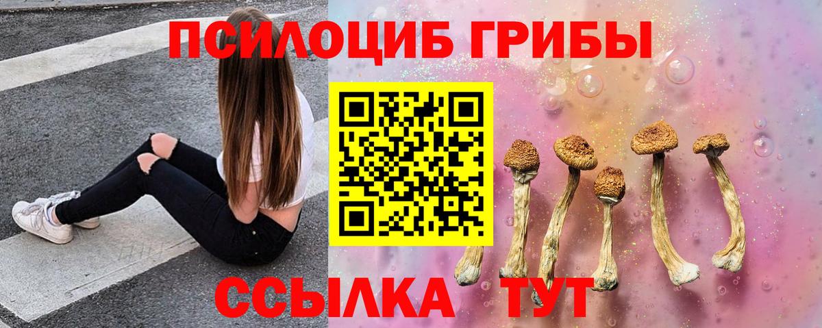 Галлюциногенные грибы ЛСД  Вход с VPN  Псилоцибиновые грибы MAGIC MUSHROOMS  Ставрополь 